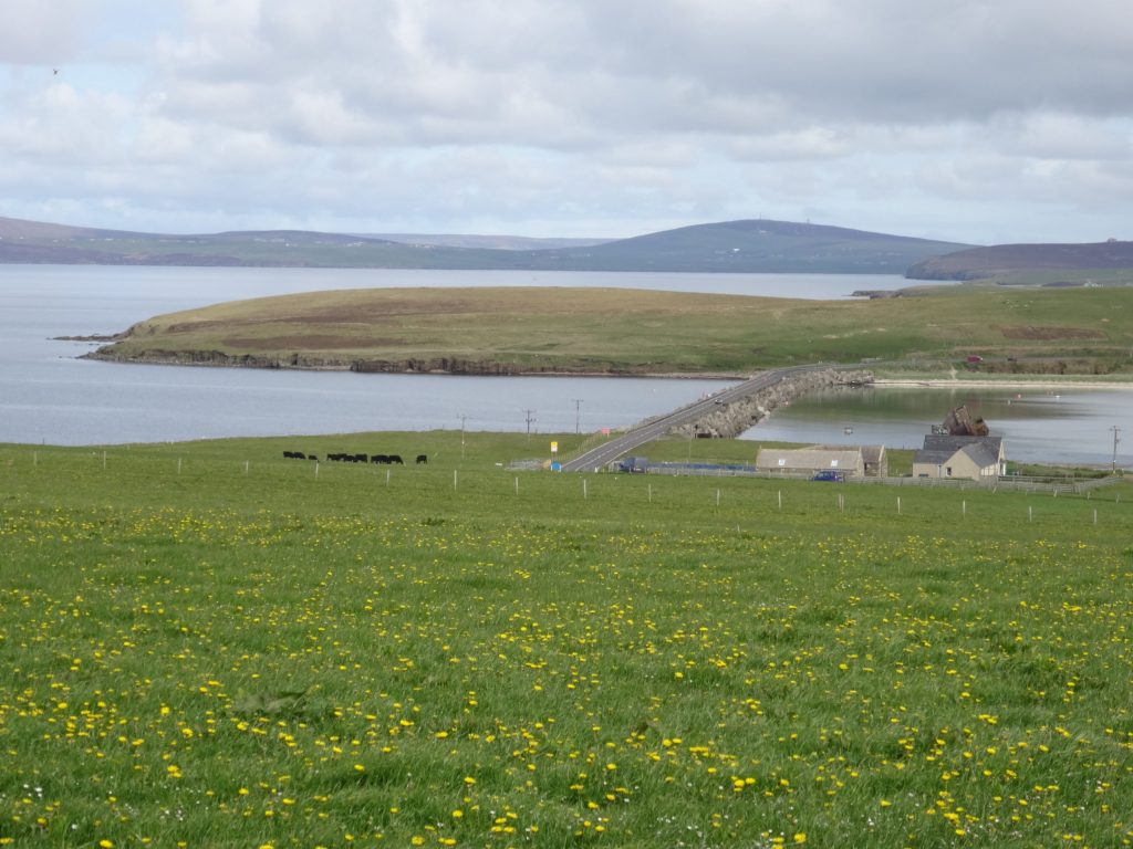 DSC00460