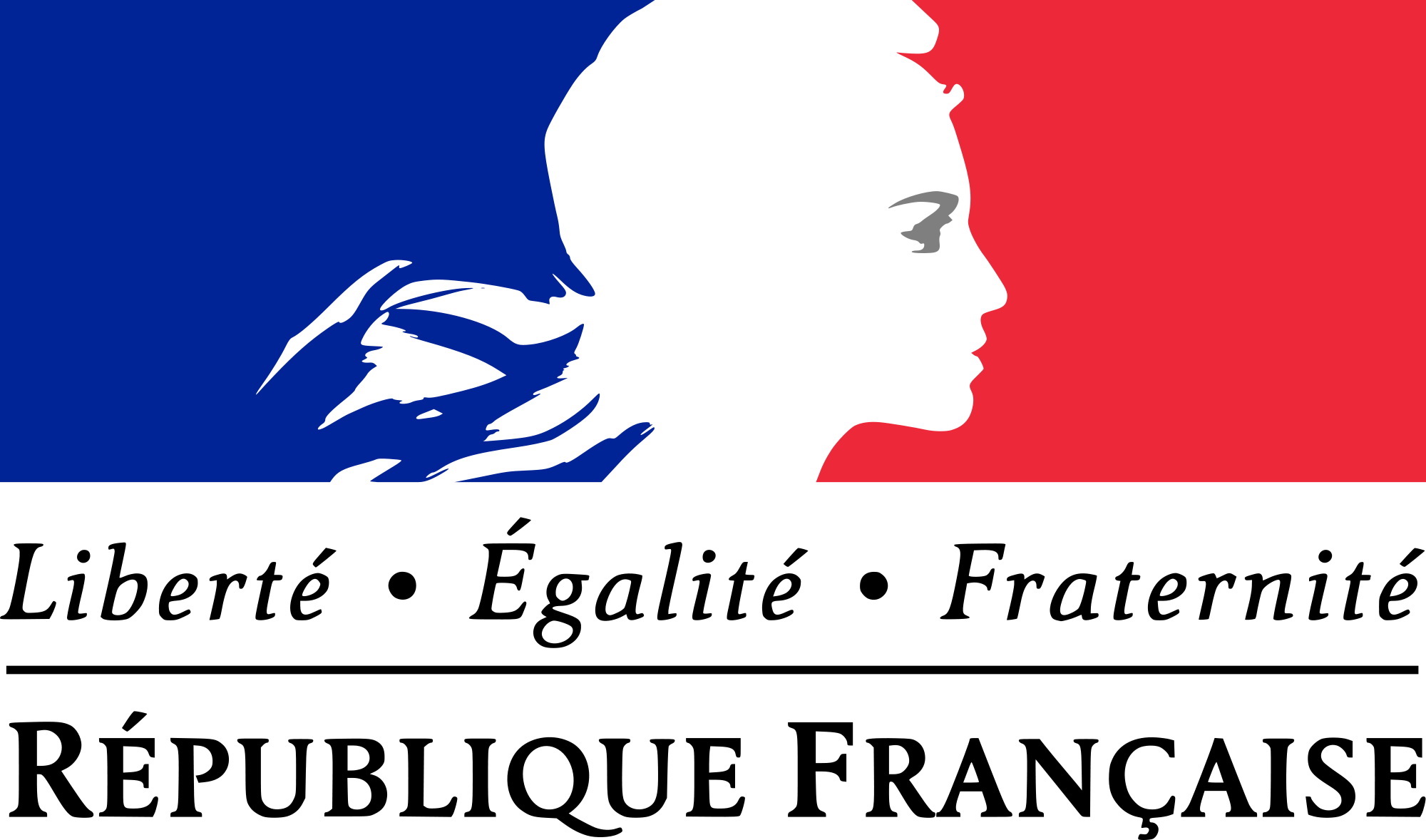 FrenchRep