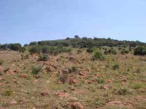 Churchill's hill, water source, and mine shaft