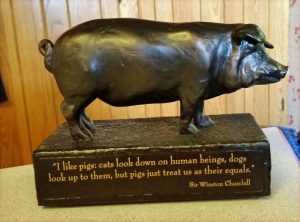 Pig quote
