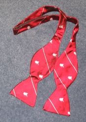 TCC_red_bowtie